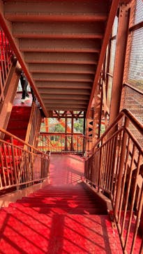 東京タワーに投稿された画像（2025/4/6）