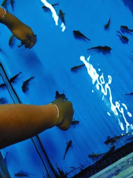 越前松島水族館に投稿された画像（2025/4/6）