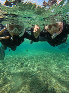 武藤潜水に投稿された画像（2025/4/6）