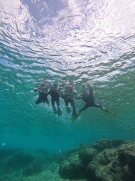 武藤潜水に投稿された画像（2025/4/6）