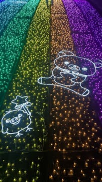 さがみ湖MORI MORIに投稿された画像（2025/4/6）