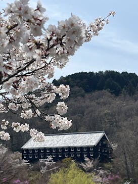 博物館 明治村に投稿された画像（2025/4/6）