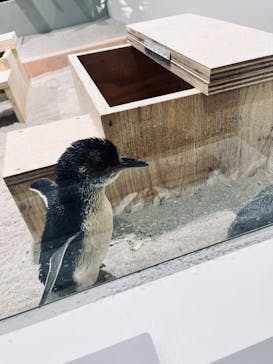 AOAO SAPPOROに投稿された画像（2025/4/6）