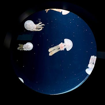 AOAO SAPPOROに投稿された画像（2025/4/6）