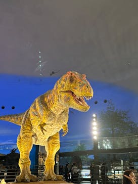 福井県立恐竜博物館に投稿された画像（2025/4/6）