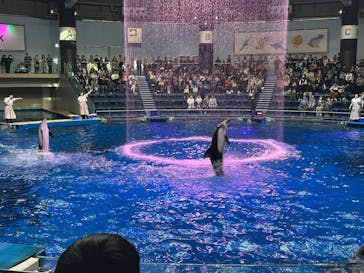 マクセル アクアパーク品川に投稿された画像（2025/4/6）