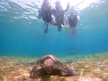 元気玉に投稿された画像（2025/4/6）