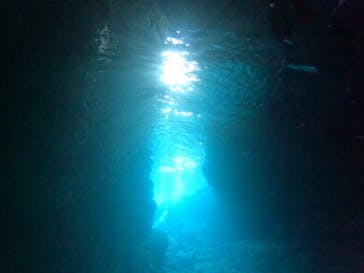 武藤潜水に投稿された画像（2025/4/6）