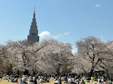 新宿御苑に投稿された画像（2025/4/6）