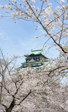 大阪城公園 西の丸庭園に投稿された画像（2025/4/6）