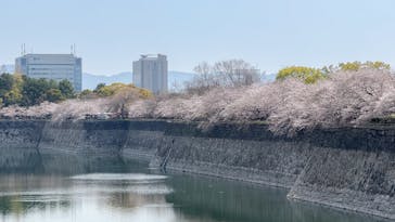 大阪城公園 西の丸庭園に投稿された画像（2025/4/6）