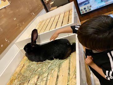 伊豆シャボテン動物公園に投稿された画像（2025/4/6）