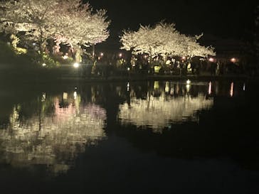 三溪園に投稿された画像（2025/4/6）