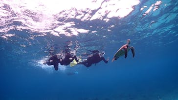 ちゃこたびに投稿された画像（2025/4/6）