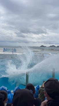 鴨川シーワールドに投稿された画像（2025/4/6）