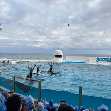 鴨川シーワールドに投稿された画像（2025/4/6）