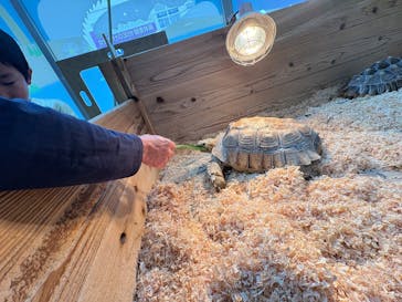 いきもの探検隊上尾に投稿された画像（2025/4/6）