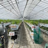 たにい農園に投稿された画像（2025/4/6）