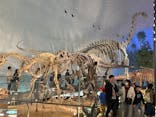 福井県立恐竜博物館に投稿された画像（2025/4/6）