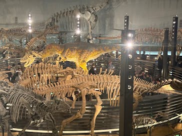 福井県立恐竜博物館に投稿された画像（2025/4/6）