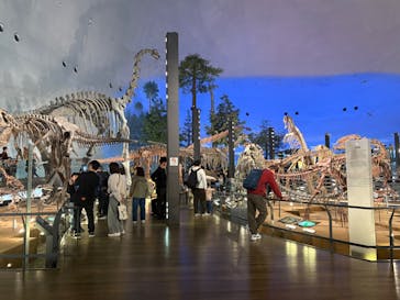 福井県立恐竜博物館に投稿された画像（2025/4/6）