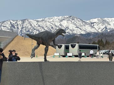 福井県立恐竜博物館に投稿された画像（2025/4/6）