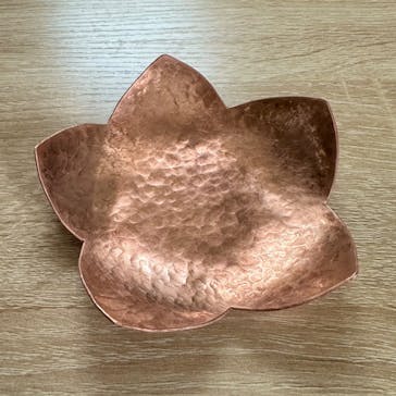 アーティスに投稿された画像（2025/4/6）