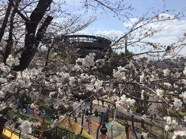 ひらかたパークに投稿された画像（2025/4/6）