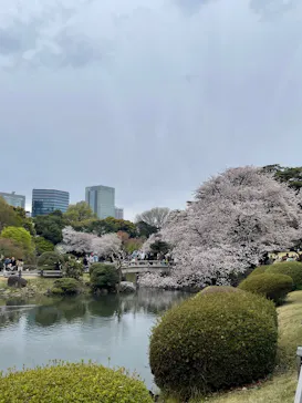 新宿御苑に投稿された画像（2025/4/6）