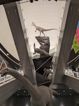 福井県立恐竜博物館に投稿された画像（2025/4/6）