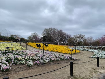 名古屋市東山動植物園に投稿された画像（2025/4/6）