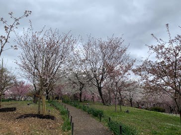 名古屋市東山動植物園に投稿された画像（2025/4/6）