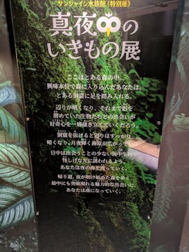 サンシャイン水族館に投稿された画像（2025/4/6）