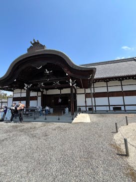 元離宮二条城に投稿された画像（2025/4/6）