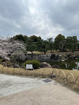 元離宮二条城に投稿された画像（2025/4/6）