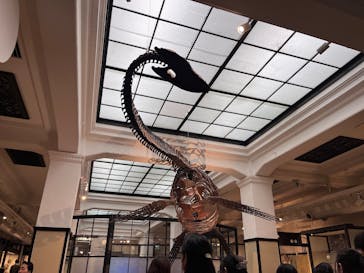 国立科学博物館に投稿された画像（2025/4/6）