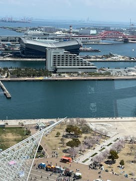 神戸ポートタワーに投稿された画像（2025/4/6）