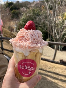 NESTA RESORT KOBE（ネスタリゾート神戸）に投稿された画像（2025/4/6）