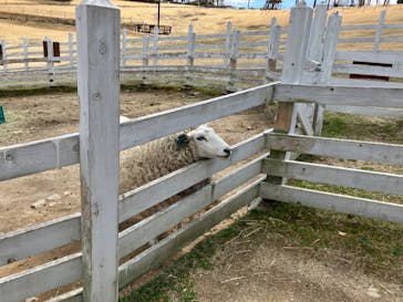 NESTA RESORT KOBE（ネスタリゾート神戸）に投稿された画像（2025/4/6）