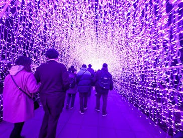 江の島1dayに投稿された画像（2025/4/6）