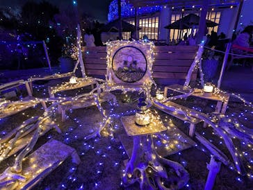 江の島1dayに投稿された画像（2025/4/6）