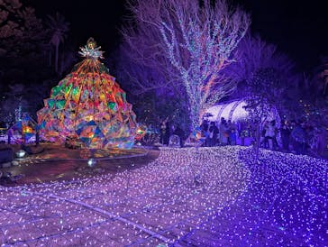 江の島1dayに投稿された画像（2025/4/6）