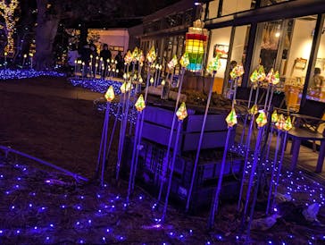 江の島1dayに投稿された画像（2025/4/6）