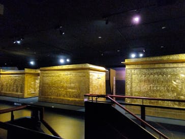 MYSTERY OF TUTANKHAMEN 体感型古代エジプト展に投稿された画像（2025/4/6）