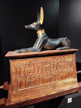 MYSTERY OF TUTANKHAMEN 体感型古代エジプト展に投稿された画像（2025/4/6）