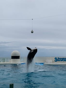 鴨川シーワールドに投稿された画像（2025/4/6）