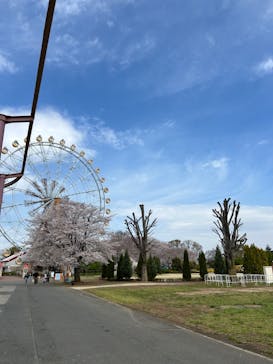 東武動物公園に投稿された画像（2025/4/6）
