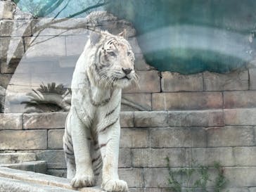 東武動物公園に投稿された画像（2025/4/6）