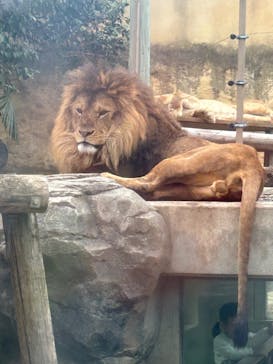 東武動物公園に投稿された画像（2025/4/6）