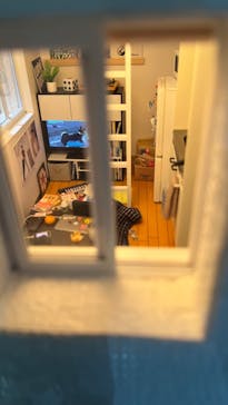 Mozuミニチュア展2025　ようこそ、ちいさな世界へ。に投稿された画像（2025/4/6）